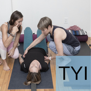 The Therapeutic Yoga Intensive: The Therapeutic Yoga Intensive