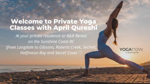 Private yoga classes with April Qureshi