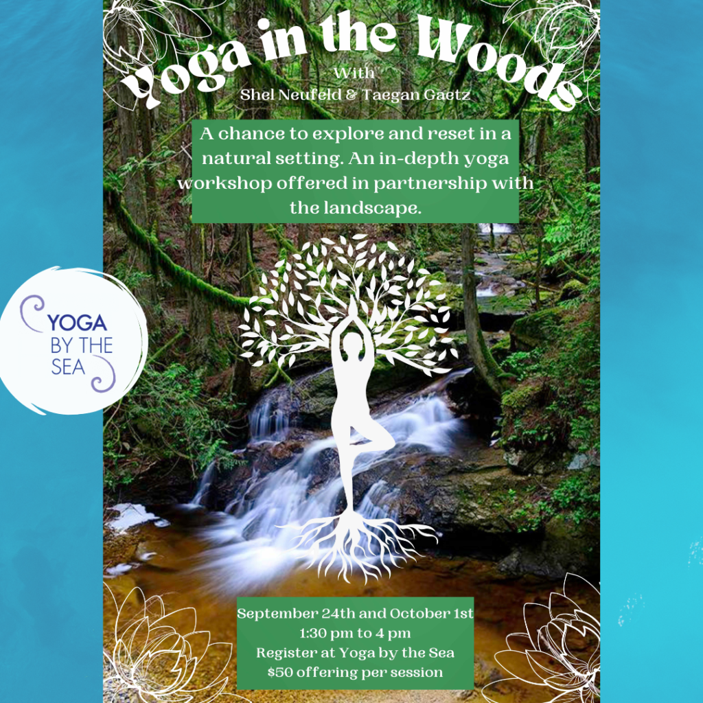 Yoga in the woods: Yoga in the Woods