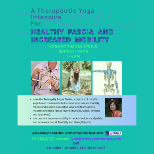Untitled design 14: A Therapeutic Yoga Intensive for Healthy Fascia and Increased Mobility