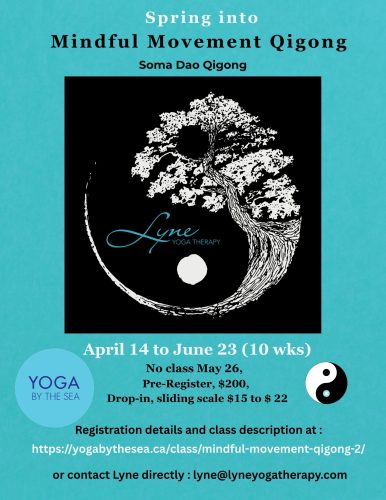 Qigong Spring 2026: Mindful Movement Qigong
