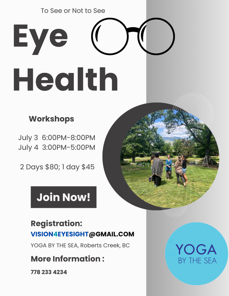 Eye Vision Workshop 1: Eye Health Workshop