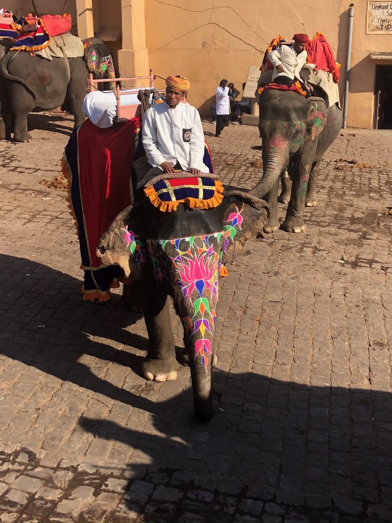 IMG 0141: Path of Light: A Yoga Pilgrimage of Inner Awakening