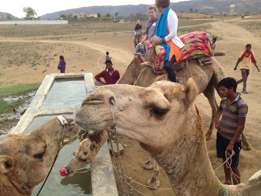 IMG 9092: Path of Light: A Yoga Pilgrimage of Inner Awakening