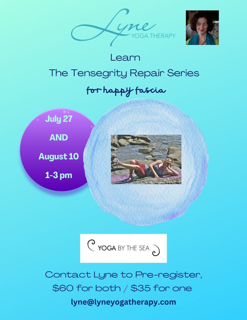 Tensegrity Repair Series July 2025: Tensegrity Repair Series - July 27 & Aug 10