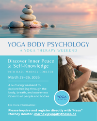 Yoga Therapy Retreat 1: Events